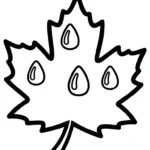 coloriage Feuille d’Érable à imprimer pour enfant de 4 ans