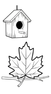 coloriage Feuille d’Érable gratuit