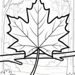 coloriage Feuille d’Érable gratuit pour enfants