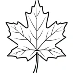 image pour coloriage Feuille d’Érable enfant