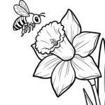 coloriage Jonquille pour enfants à imprimer