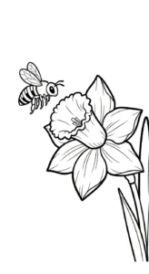 coloriage Jonquille pour enfants à imprimer