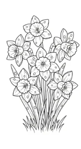 coloriage Jonquille a telecharger