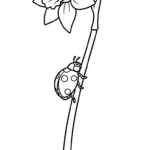 coloriage Jonquille à imprimer pour enfant de 8 ans