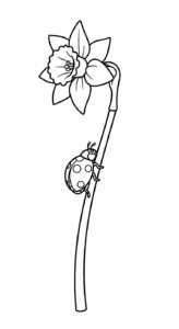 coloriage Jonquille à imprimer pour enfant de 8 ans