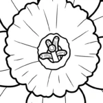 coloriage Jonquille pour enfant de 8 ans