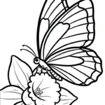 coloriage Jonquille pour enfants