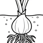 coloriage Jonquille pour enfant de 10 ans