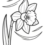 coloriage Jonquille educatif pour enfant