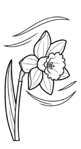 coloriage Jonquille educatif pour enfant