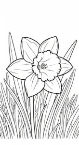 coloriage Jonquille et dessins