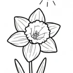 coloriage Jonquille et dessin a imprimer