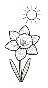 coloriage Jonquille et dessin a imprimer