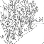 coloriage Jonquille pour enfant a imprimer gratuit