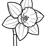 a imprimer coloriage Jonquille gratuit