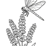 imprimer coloriage Lavande pour enfant