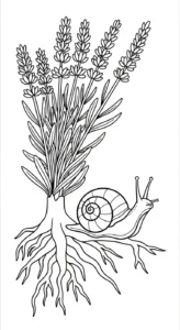 coloriage Lavande pour enfant de 7 ans