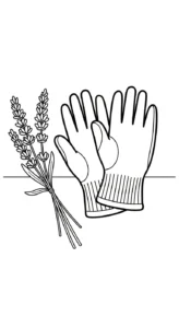 coloriage Lavande en ligne pour enfant