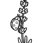 coloriage Lavande à imprimer pour enfant de 4 ans