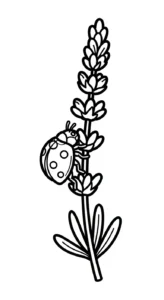 coloriage Lavande à imprimer pour enfant de 4 ans