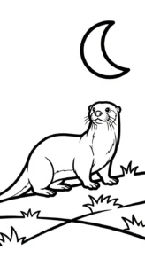 coloriage Loutre à imprimer pour enfant de 9 ans