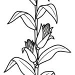 coloriage Maïs et decoupage a imprimer gratuit