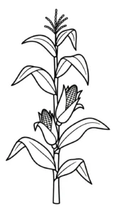 coloriage Maïs et decoupage a imprimer gratuit