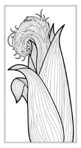coloriage Maïs à imprimer pour enfant de 6 ans