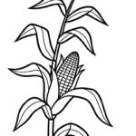 imprimer coloriage Maïs