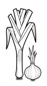 coloriage Oignon a imprimer gratuit