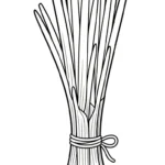 coloriage Oignon pour enfant de 7 ans