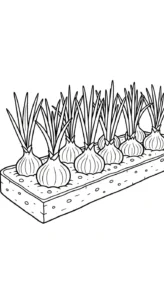 coloriage Oignon à imprimer pour enfant de 4 ans