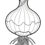 imprimer coloriage Oignon pour enfant