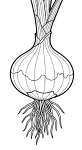 imprimer coloriage Oignon pour enfant