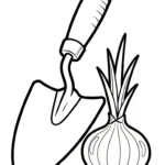 coloriage Oignon à imprimer