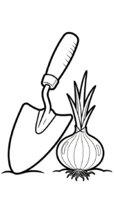 coloriage Oignon à imprimer