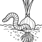 imprimer coloriage Oignon pour enfant