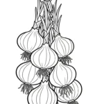 coloriage Oignon à imprimer pour enfants