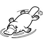 coloriage Ornithorynque à imprimer pour enfant de 12 ans
