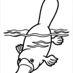 coloriage Ornithorynque pour enfants