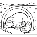 coloriage Ornithorynque pour enfant de 3 ans