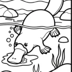 coloriage Ornithorynque pour enfants