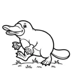 coloriage Ornithorynque à imprimer pour enfant de 2 ans