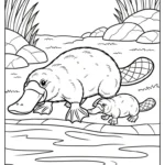 coloriage Ornithorynque pour enfant de 7 ans