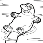 coloriage Ornithorynque a imprimer gratuitement