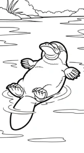 coloriage Ornithorynque a imprimer gratuitement