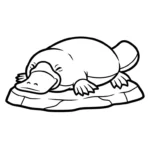 coloriage Ornithorynque à imprimer pour enfant de 6 ans