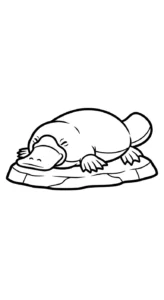 coloriage Ornithorynque à imprimer pour enfant de 6 ans