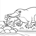 coloriage Ornithorynque à imprimer pdf gratuit
