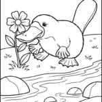 coloriage Ornithorynque pour enfants à télécharger